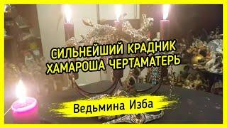 СИЛЬНЕЙШИЙ КРАДНИК ХАМАРОША ЧЕРТАМАТЕРЬ. ВЕДЬМИНА ИЗБА ▶️ МАГИЯ