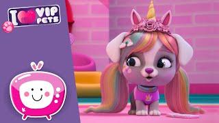 IT GIGI  CUTIE PIE  VIP PETS  New Episode  VIDEOS and CARTOONS for KIDS in ENGLISH