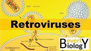 Retroviruses