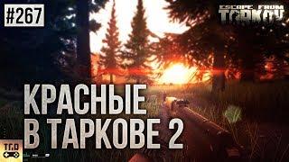 AMD FX 8300 СТОК И СВЯТОЙ РАЗГОН ТЕСТ В ESCAPE FROM TARKOV