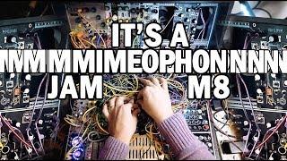 Why Make Noise Mimeophon Might be the Only Effect You Need.