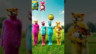 Fluffy Dancing with Friends – Hilarious and Cute!