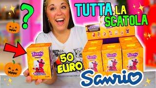 Apro TUTTA la BOX MISTERIOSA SANRIO  da 50 euro DI HALLOWEEN