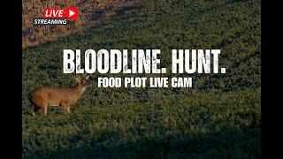 Live Food Plot Cam - 2025 Food Plot Build