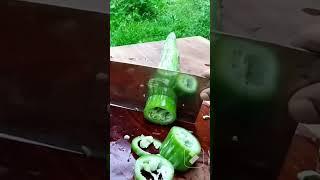 Cutting Snake gourd #shorts #subscribe #sub #asmr #amazing #delicious #summer #food #cuttingskills