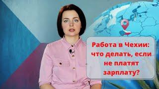 Работа в Чехии: что делать, если не платят зарплату?