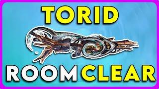 Warframe Torid Incarnon Build | Steel Path Room Clear in 2024!