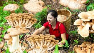 Harvesting Mushroom & Goes To Market Sell | Gardening And Cooking | Lý Tiểu Vân