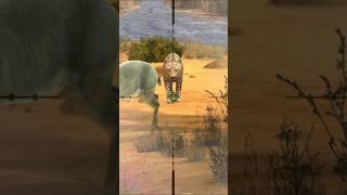 Tiger with deer target by sniper #sniper #hunting #animals #shorts #viralshort #viralvideo