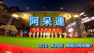 阿呆連　南越谷阿波踊り　2018