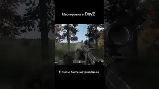 Он меня не заметил, маскировка в DayZ