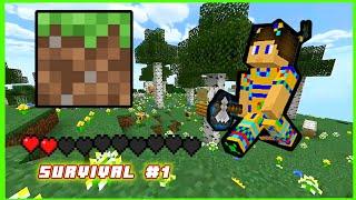 MINECRAFT SURVIVAL. №1 ️