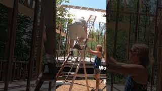 How NOT to Use a Ladder