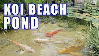 Koi Pond with a Beach!!  Greg Wittstock, The Pond Guy