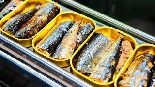 How Millions of Sardines Are Perfectly Processed and Canned! A Look Behind The Scenes