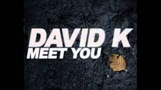 David K - Meet You (Remixes) (Official)