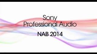 Sony Professional Audio