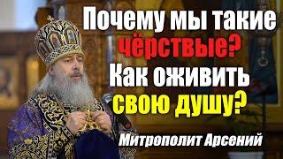 Почему мы такие чёрствые, как оживить душу? — слово митр. Арсения в Неделю Крестопоклонную 27.3.22 г