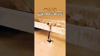 ثق دائماً في أولئك الذين يمدون يدهم لإنقاذك 