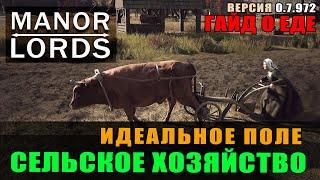 Manor Lords гайд: Сельское хозяйство. Идеальные поля