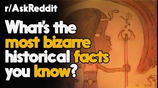 What's the most bizarre Facts you know? r/AskReddit Reddit Stories  | Top Posts