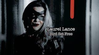 Laurel Lance | Bird Set Free