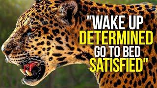 WAKE UP DETERMINED & START THE DAY - Motivational Video Compilation - 30 Minute Morning Motivation