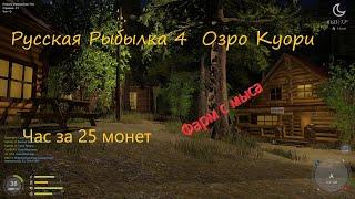 Russian Fishing 4 О.Куори Час коту под хвост