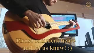 Convert your acoustic into a 12 string!!