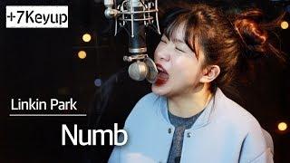 (+7 key up) Numb - Linkin Park cover | Bubble Dia