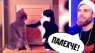 Тест на психику челлендж - грусть печаль и СМЕХ - засмеялся подписался