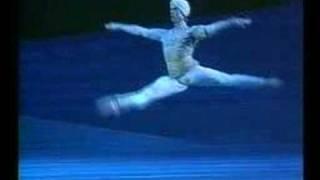 Malakhov, Stadler - BAYADERE, Vienna State Opera Ballet