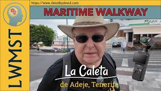 Walking around La Caleta de Adeje, Tenerife