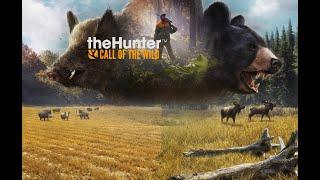 Обзор как скачать сохранение на the hunter Call of the Wild