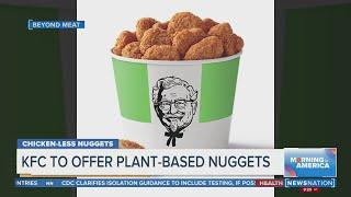 KFC to launch Beyond Meat fried 'chicken' across United States | Morning in America