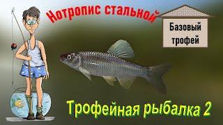 Нотропис стальной 236 грамм, Базовый трофей, игра Трофейная рыбалка 2, река Миссисипи