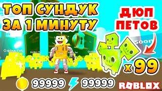 СИМУЛЯТОР ПИТОМЦЕВ КОМАНДА МЕЧТЫ! ДЮП ROBLOX PET SIMULATOR