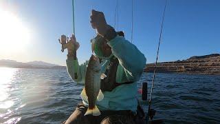 Lake Mead Crappie hunt Echo Bay in the Old Town Autopilot 136. Richard Johnson bait recommendations