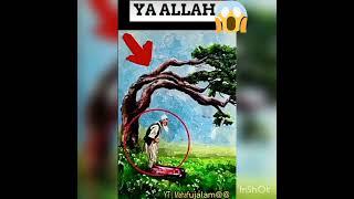 Subscribe now Raihan Raza 786//2023//