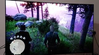 Xbox One X RDR2 TruMotion on LG OLED TV