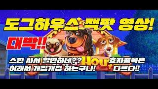 [슬롯머신] 프라그마틱 도그하우스 (개집) 스핀 대박영상 모음입니다!! / [SLOTMACHINE] PRAGMATIC SWEET THE DOG HOUSE SPIN BIG WIN!!