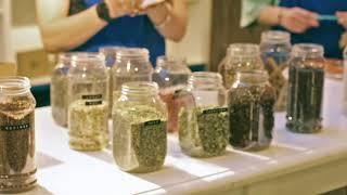 Tea Blending & Tasting Workshop Experiences