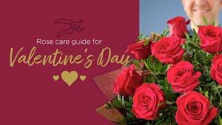 Flower care guide | Valentine's Day