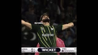 Pov: you are watching old eagle #froyoupage #foryou #cricket #trending #growyourchannel