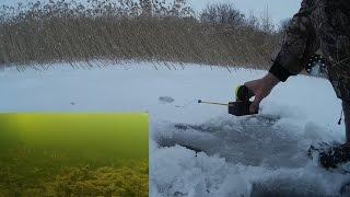 Зимняя Рыбалка С Электронной Удочкой | Ice Fishing with an ciber fishing-rod