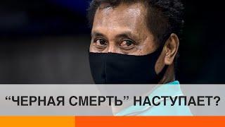 Коронавируса мало: миру угрожает пандемия чумы? — ICTV