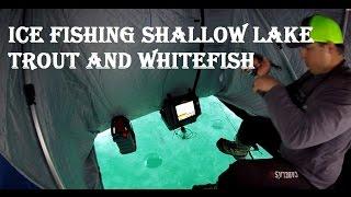 Ice fishing Shallow Lake Trout and Whitefish - Lake simcoe