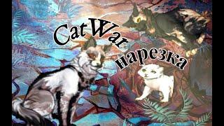 НАРЕЗКА О ПЛЕМЕНИ ЛУНЫ Catwar