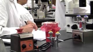 SJSU Biotechnology