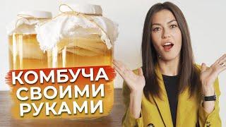 Чайный гриб – ЭТО ПОЛЕЗНО! / Как приготовить комбучу в домашних условиях?